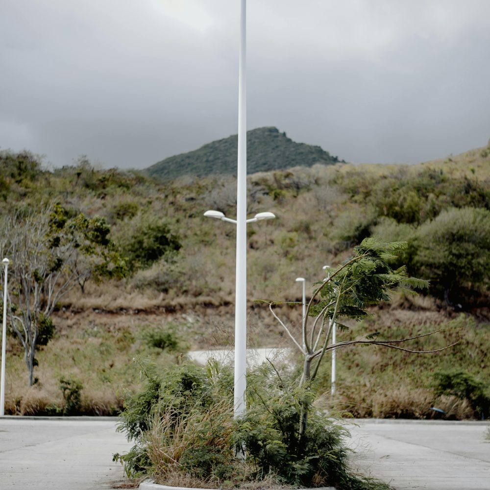 Categoría Troncocónicos